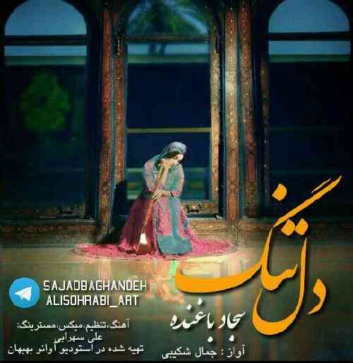 سجاد باغنده دل تنگ